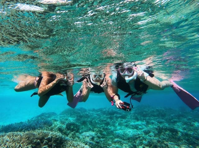 world-heritage-underwater-adventure-from-iriomote-island-tropical-snorkeling-half-day-tour-reservations-free-photo-data-iriomote-island-okinawa_1
