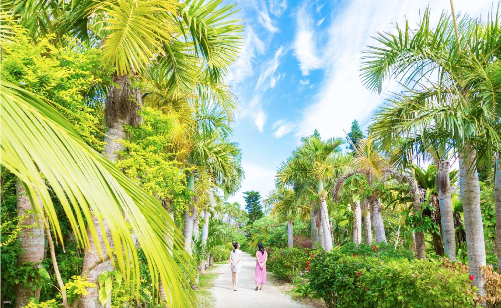 Yaeyama Islands (Iriomote, Yubu, Taketomi) Day Tour with Your Choice of Activity | Okinawa - Photo 1 of 5