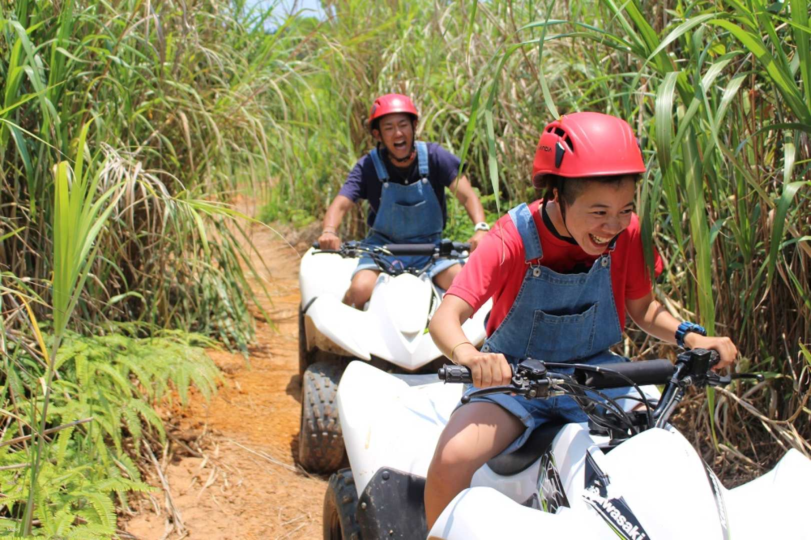 Yanbaru Buggy Adventure: Yanbaruncha Higashi Village with 4-Wheel Buggy – No Driver's License Needed! (Northern Okinawa's Yanbaru Forest Activity) - Photo 1 of 2