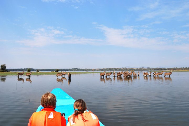 lake naivasha boat ride