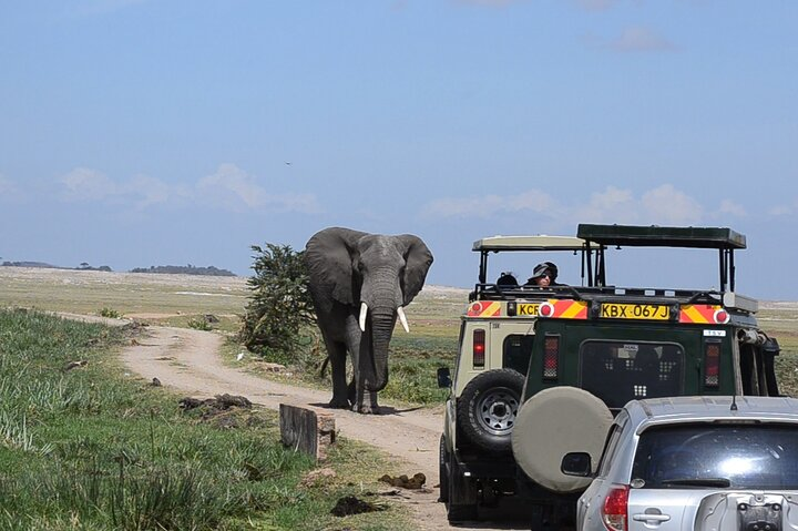 Game drive at Amboseli Park