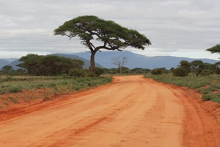 Don't miss to visit this beauty of Tsavo East