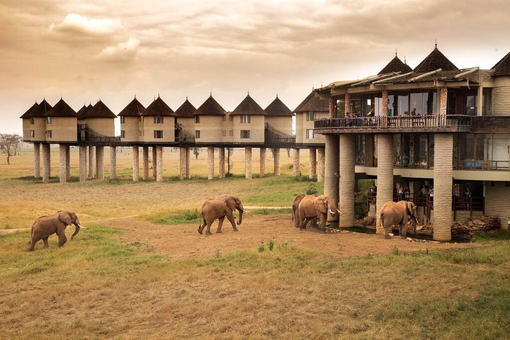 2-Day Safari in Taita Hills from Mombasa - Photo 1 of 6