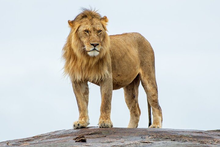 2-Day Tsavo East Private Tour - Photo 1 of 4