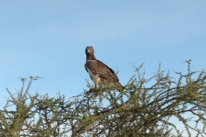 2 days 1 night Saltlick Taita Hills - Photo 1 of 24