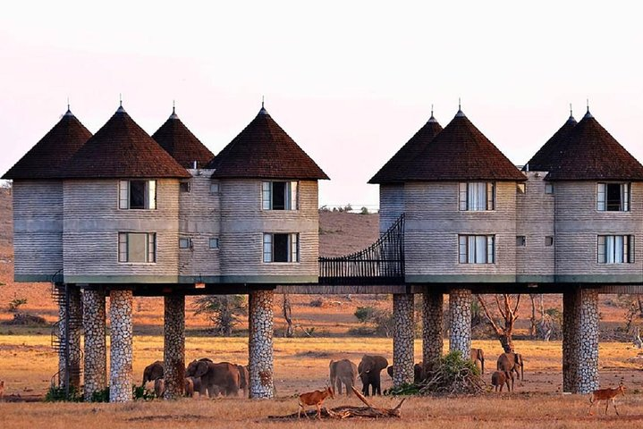 2 Days (1 night); Tsavo East & Saltlick Safari:  - Photo 1 of 7