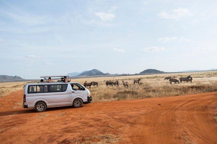 Game Viewing Drive