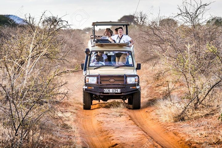 2 Days Tsavo east Jeep Safari (minimum 2 persons) - Photo 1 of 10