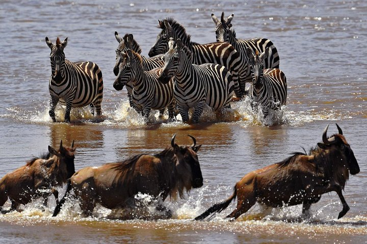 3 Day Maasai Mara Air Package with Limited Slots - Photo 1 of 7