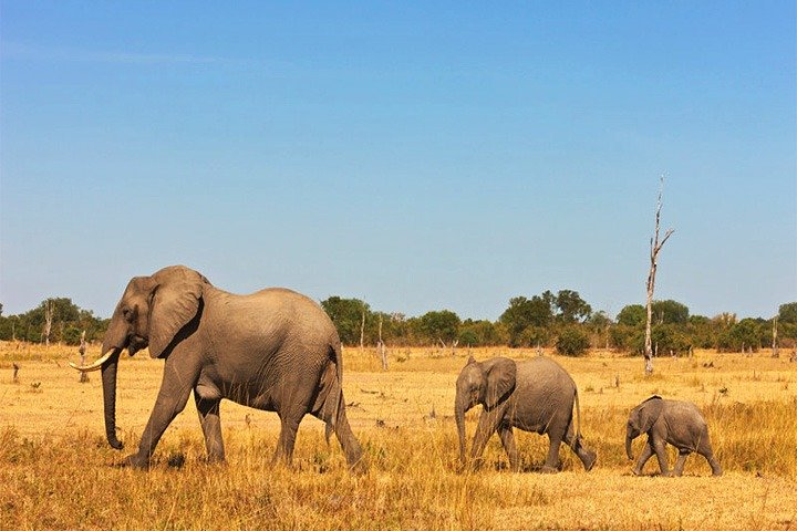 3 Days, 2 Nights Safari - Amboseli National Park and Tsavo West Adventure Safari - Photo 1 of 9