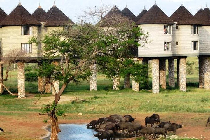 3 Days 2 Nights To Sarova Saltlick And Taita Hills - Photo 1 of 2