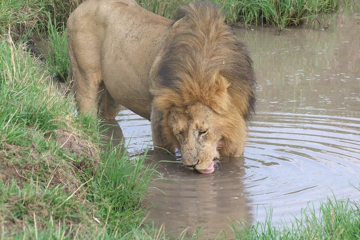 3 Days Amboseli - Photo 1 of 11