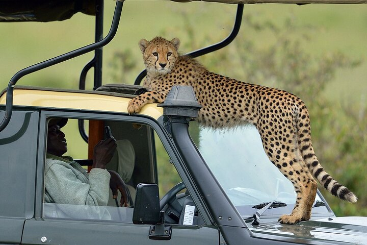 3-Days Maasai Mara Camping Safari on 4x4 Land Cruiser Jeep - Photo 1 of 13