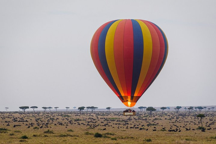 3-Days Masai Mara Safari Combined with Hot Air Balloon Ride Experience - Photo 1 of 11