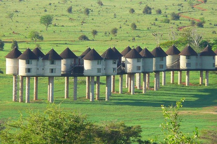 3 days safari Tsavo East and Taita hills (Saltlick lodge) - Photo 1 of 21