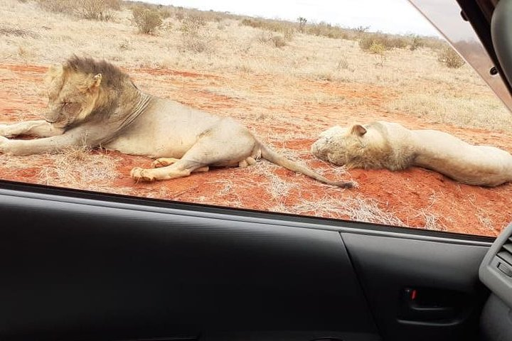 3 Days Tsavo Adventure Tsavo East & West National Parks - Photo 1 of 12