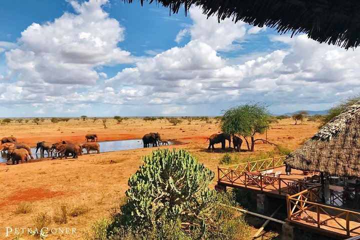 Ngutuni Lodge