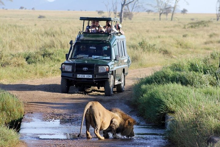 4-Day Masai Mara and Lake Naivasha 4 X 4 Land Cruiser Safari - High End - Photo 1 of 7