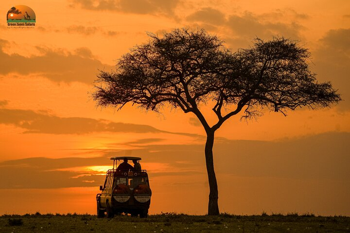 4-Day Private Masai Mara Kenya Safari Tour  - Photo 1 of 12