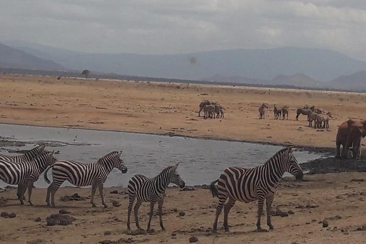 4 Days Tsavo East National Park, Amboseli & Taita Hills Wildlife Sanctuary - Photo 1 of 10