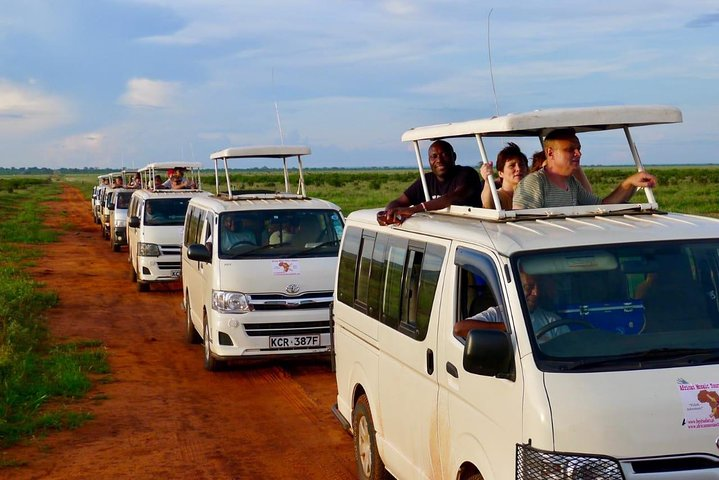 Customized safari vehicles 