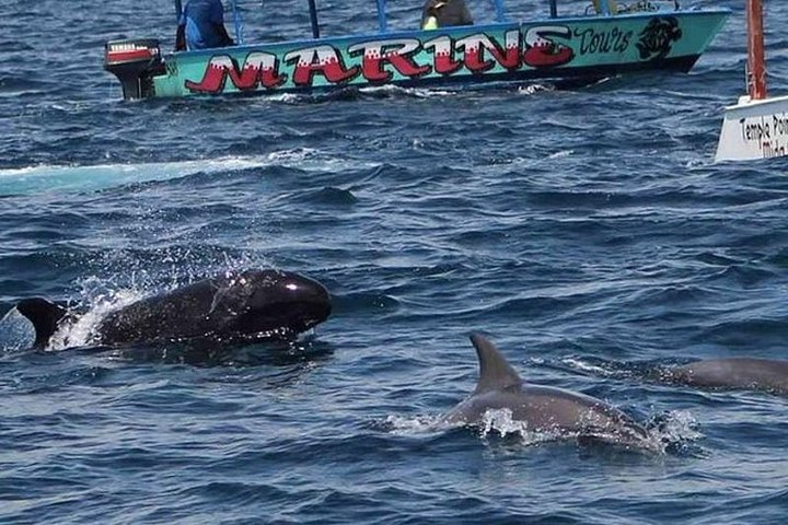 Watamu Marine Park