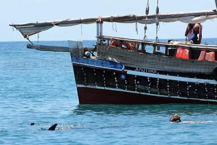 Dolphin tour by Ghalib - Photo 1 of 17