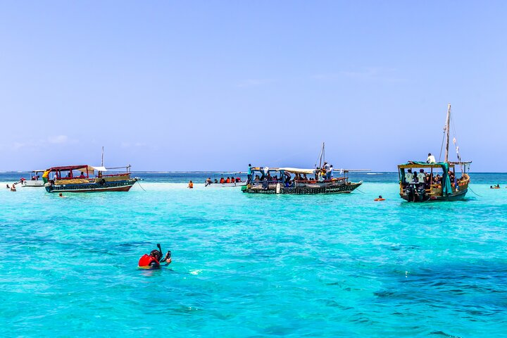 Snorkeling at Kisite Mpunguti Marine Park
