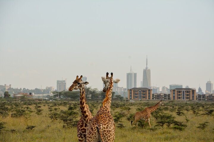 Half-Day Nairobi National Park and Maasai Market with Pick up - Photo 1 of 25