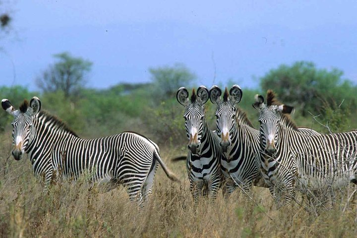 Increadible Meru Special Safari (MINIMUM 2 PAX) - Photo 1 of 4