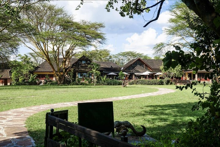 Lush, sun-drenched plains encircling Keekorok Lodge 