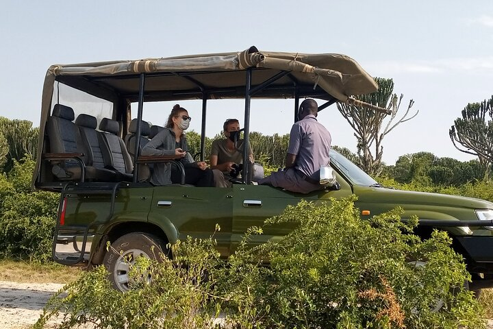 Masai Mara Kenya volunteering safari