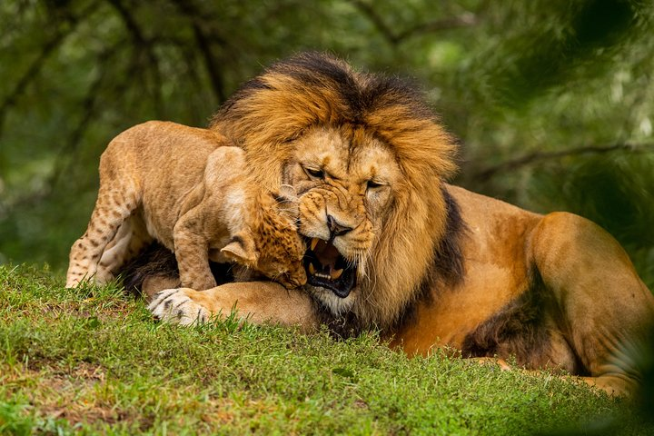 Lake Nakuru Express - Photo 1 of 5