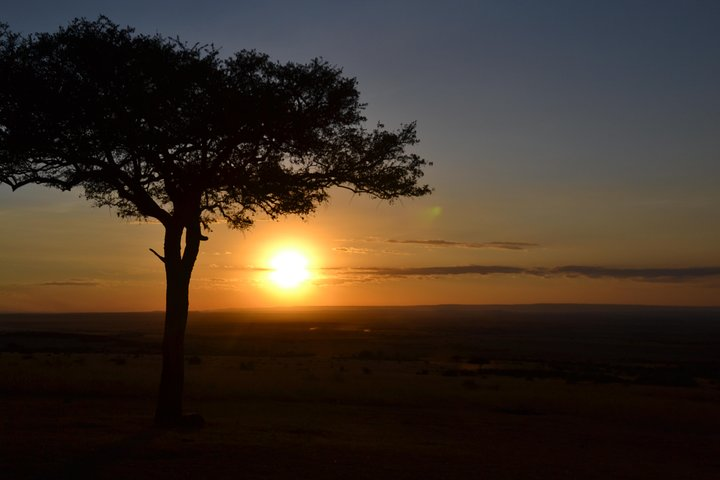 Magical Mara - Photo 1 of 6