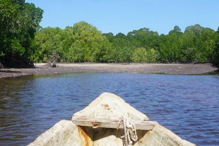 Mida Creek Boardwalk and Canoa Ride - Photo 1 of 16