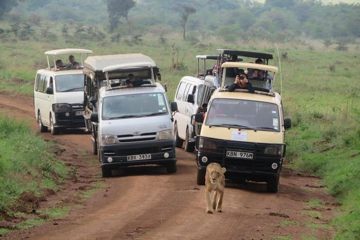 Nairobi Nat Park,Sheldrick Elephant Giraffe Centre&Karen Blixen  - Photo 1 of 12