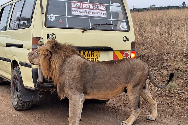  Nairobi national park drive for 5 hours - Photo 1 of 15