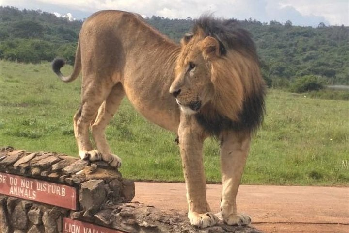 Nairobi national park