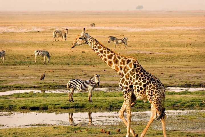 Nairobi National Park Group Tour - Photo 1 of 8