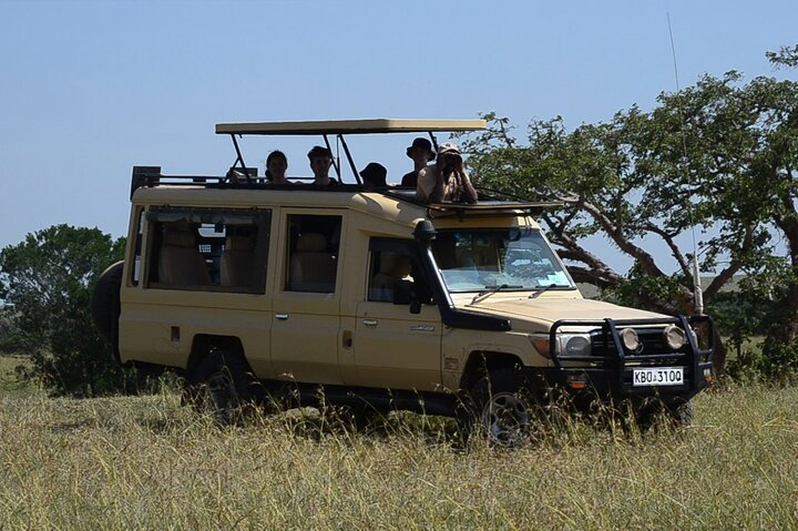 Nairobi national park game drive.