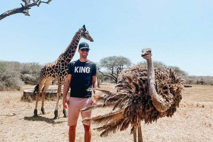 Nature Walk with Giraffes in Mombasa - Photo 1 of 6