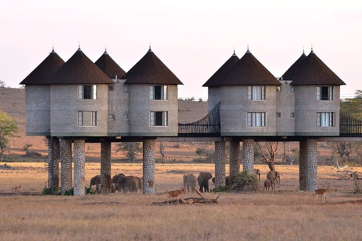 Overnight Safari Tour to Saltlick Lodge from Mombasa - Photo 1 of 5