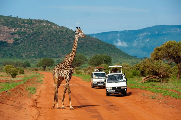 Overnight tour to Tsavo East National Park from Mombasa - Photo 1 of 7