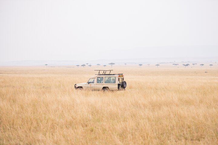 Private 2 Day Diani Beach to Tsavo East Tour - Photo 1 of 10