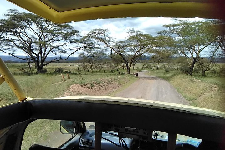 Private Day tour Nakuru National Park & Boat Ride - Photo 1 of 25