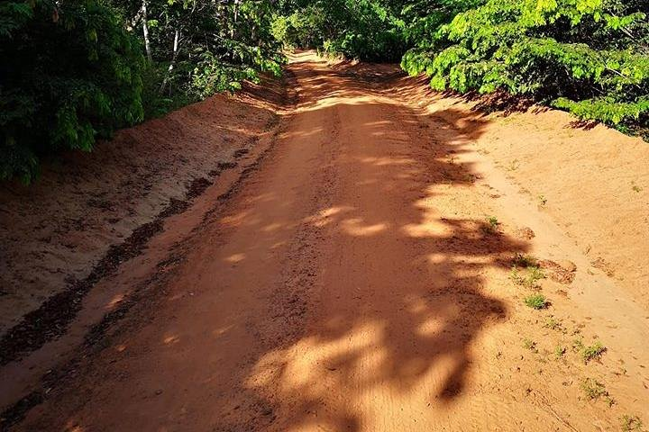 Shimba Hills Excursion - Photo 1 of 6