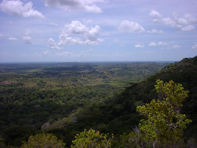 Mombasa Day Trip: Shimba Hills National Park Tour