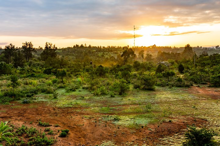  The Best Of Nanyuki Walking Tour - Photo 1 of 3