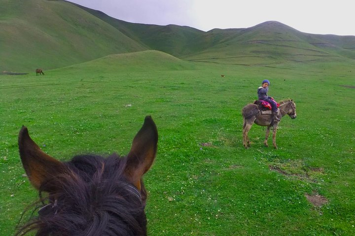 Horse back riding in mountains  - Photo 1 of 3