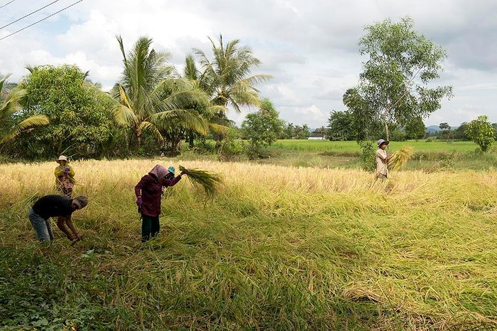 Countryside Adventure - by Discover Center, Kep West - Photo 1 of 6